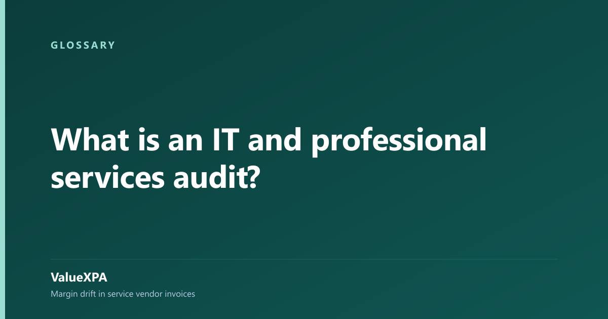 What is an IT and professional services audit?