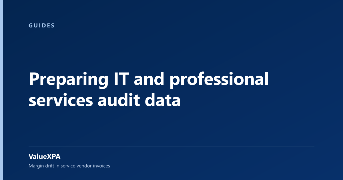 Preparing IT and professional services audit data