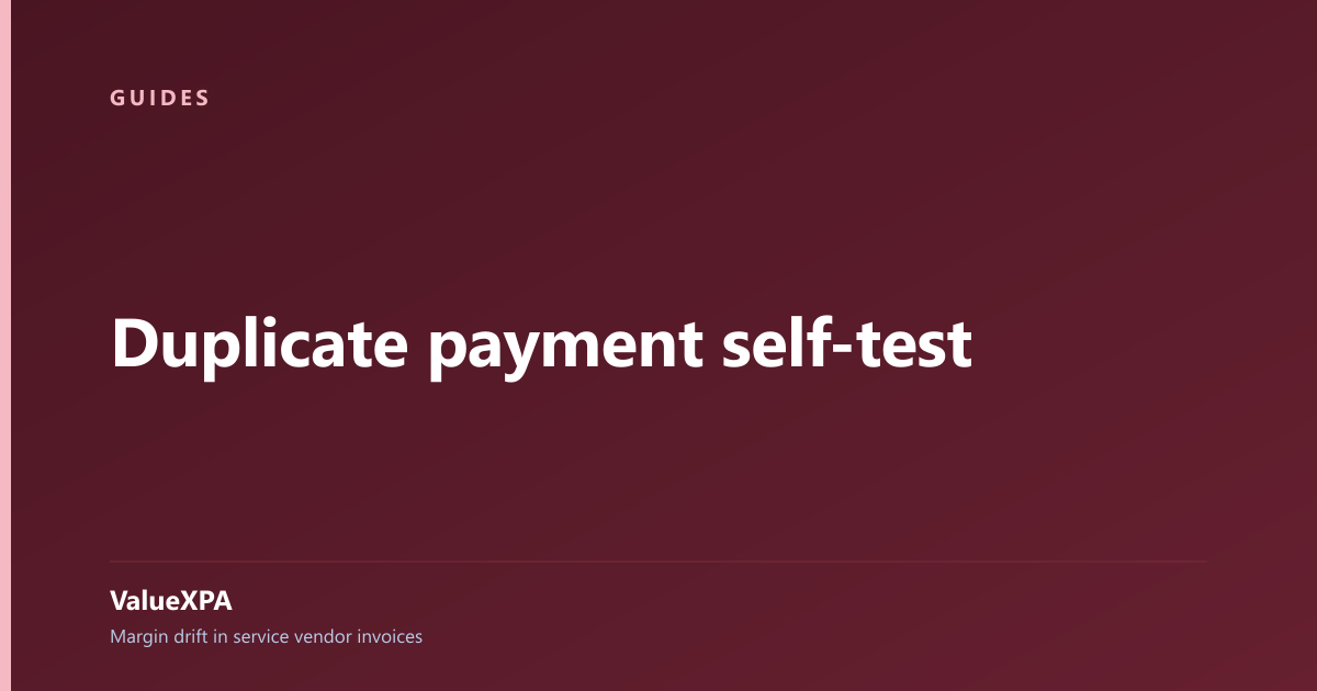 Duplicate payment self-test