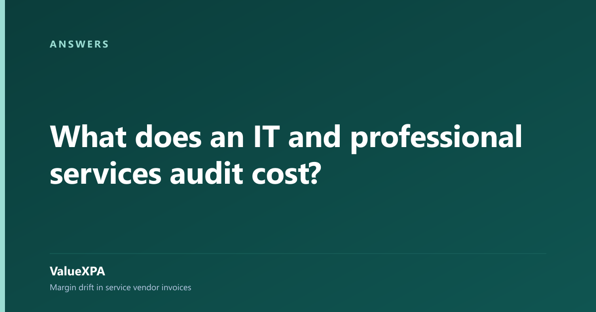 What does an IT and professional services audit cost?